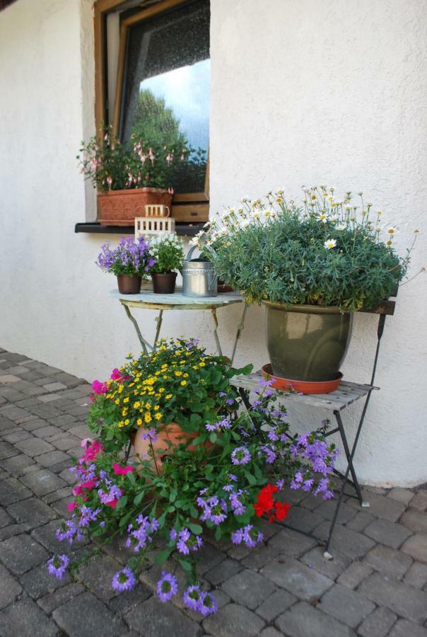 Homestay Cozy Room Markdorf Dış mekan fotoğraf